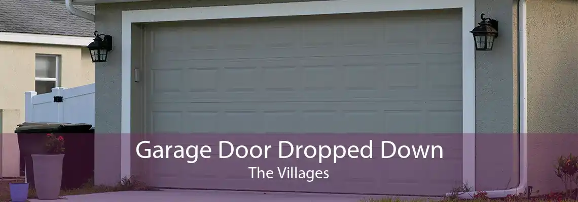 Garage Door Dropped Down The Villages