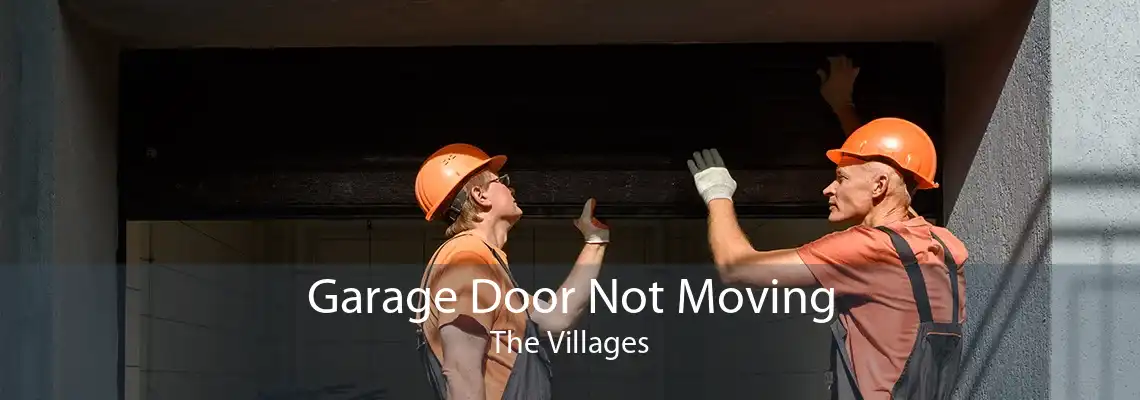 Garage Door Not Moving The Villages