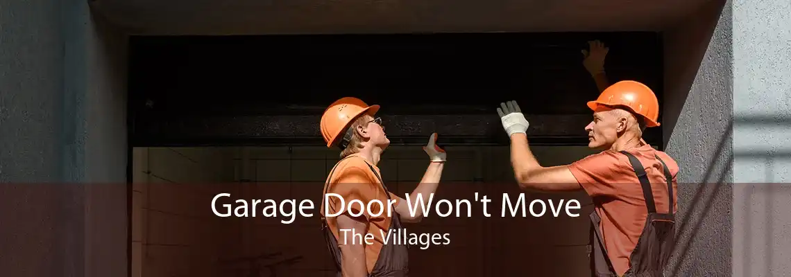 Garage Door Won't Move The Villages